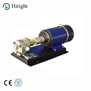 Pompa di estrusione pompa di misurazione degli ingranaggi in resina epossidica