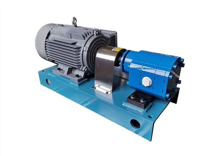 LM481 Special Gear Pump